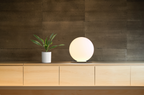 Modern table lamp and plant on a wooden cabinet against a textured wall.