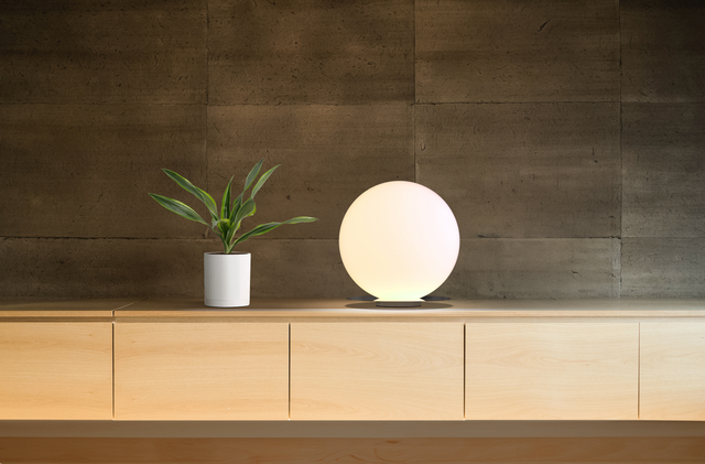 Modern table lamp and plant on a wooden cabinet against a textured wall.