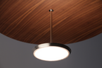 Sky Dome Wood