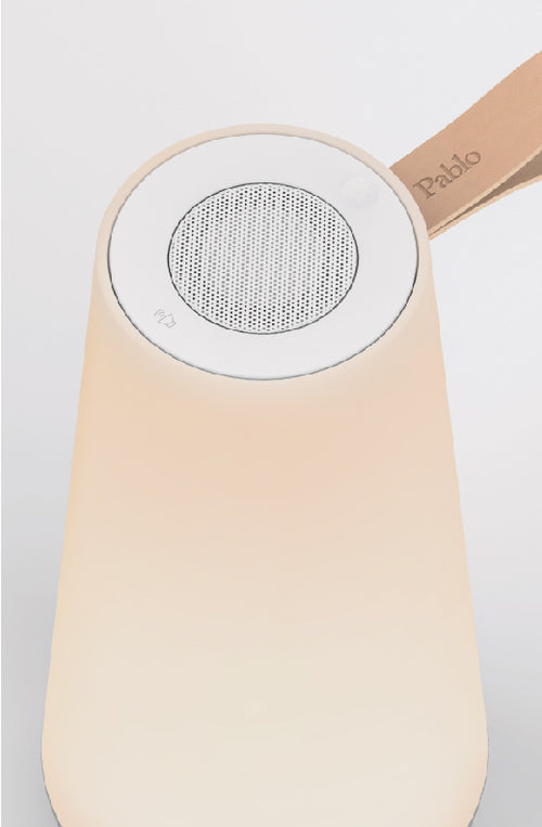 Integrated Bluetooth Speaker
