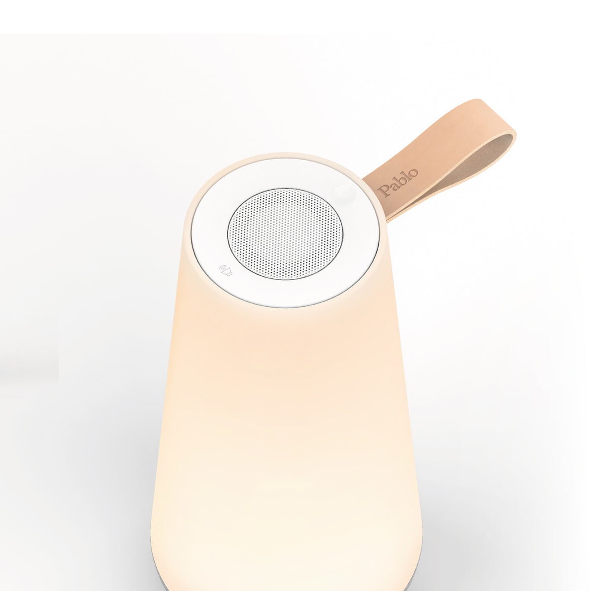 Integrated Bluetooth Speaker